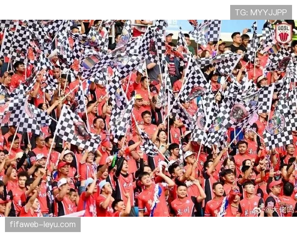 南美足球新赛季点燃球迷激情，团结文化助力球队表现亮眼